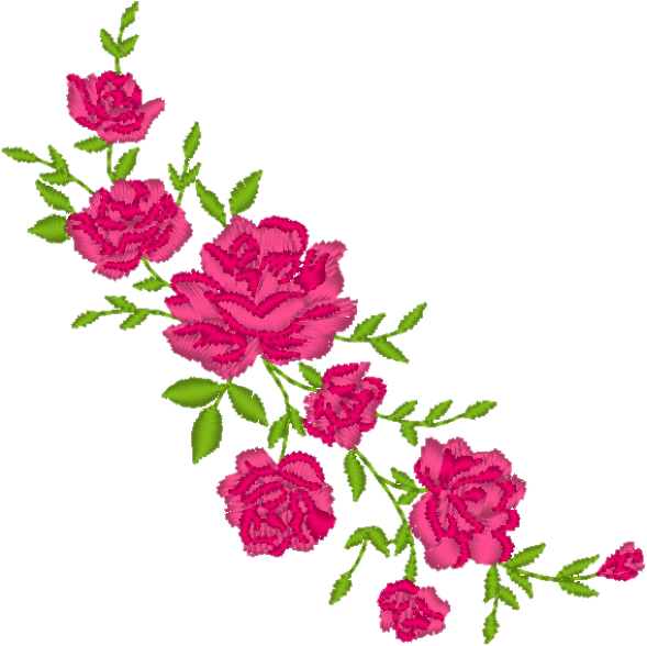 Rose Vine Png - Garden Roses Clipart (589x588), Png Download