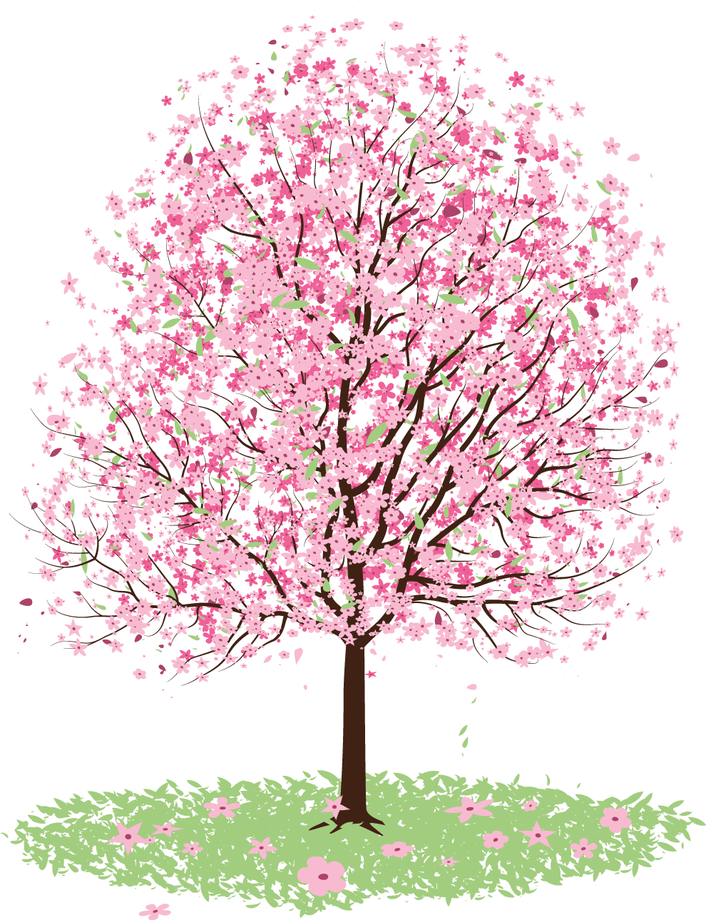 Freeuse Stock Cherry Blossom Tree Clipart - Blossom Tree Vector Free - Png Download (990x1289), Png Download