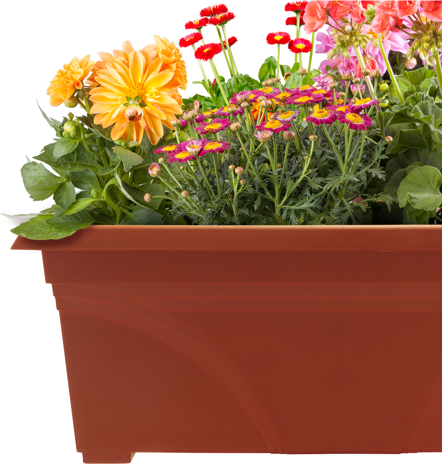Pots Of Plants Png , Png Download Clipart (893x937), Png Download