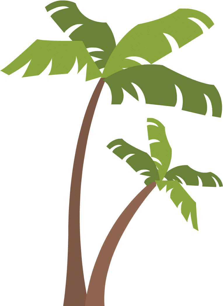 Palm Trees - Instagram Highlight Icon Free Clipart (901x1086), Png Download