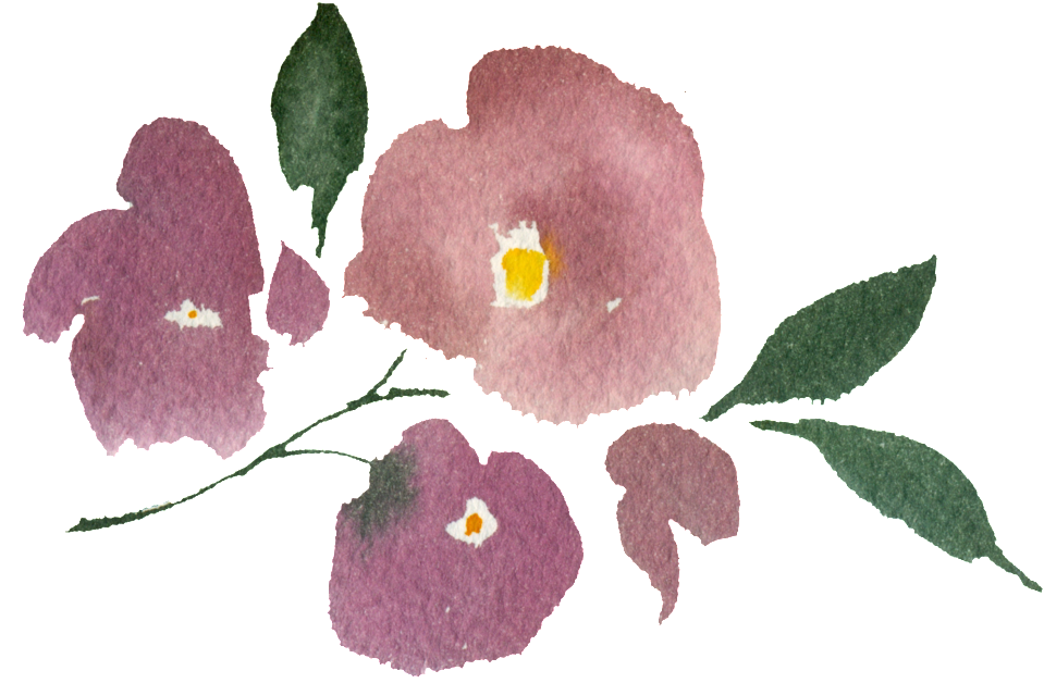 Hand Painted Three Watercolor Flowers Png Transparent - Rose Clipart (1024x739), Png Download