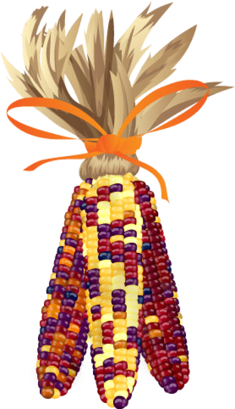 Free Png Download Thanksgiving Png Images Background - Illustration Clipart (480x833), Png Download