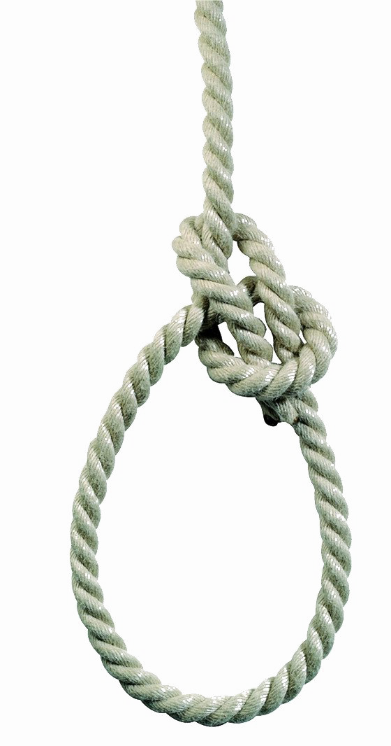 Hang Rope Png Clipart (560x1066), Png Download