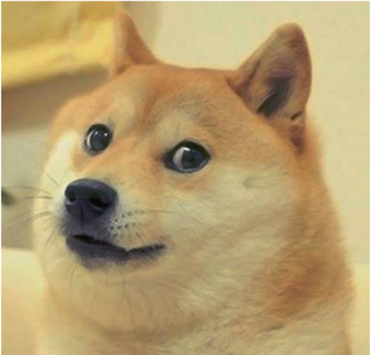 Doge - Svg - Doge Svg Clipart (1131x707), Png Download