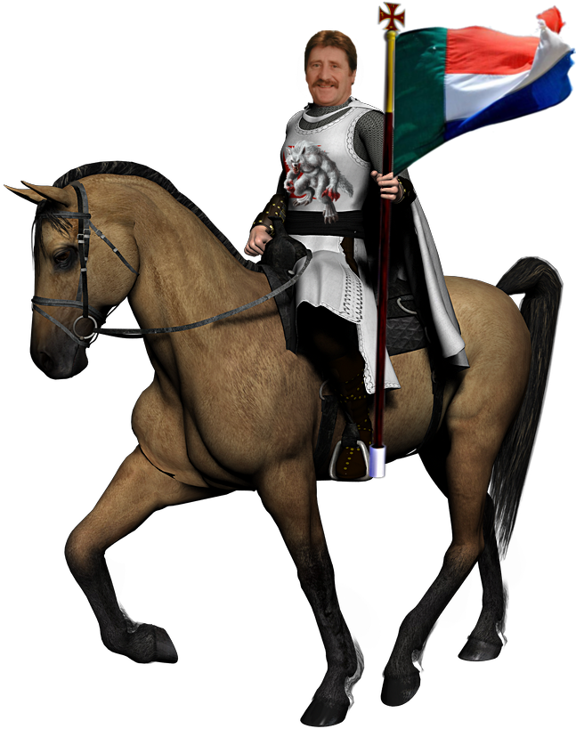 655 X 838 13 - Knight On A Horse Png Clipart (655x838), Png Download