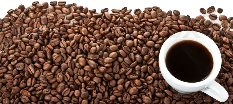 Coffee - Coffee Beans White Background Png Clipart (800x531), Png Download