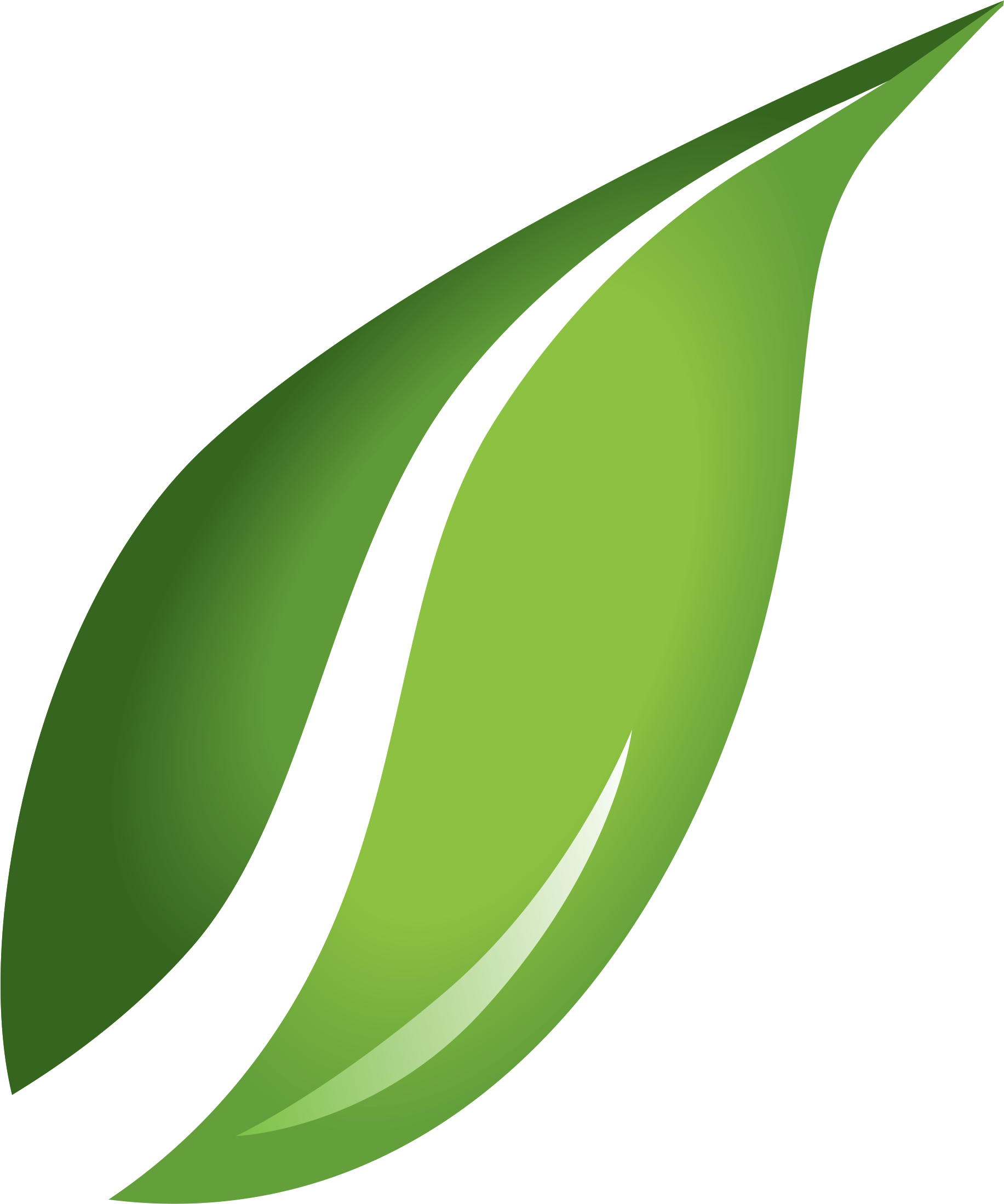 Leaf Png Sustainability The Icon - Leaf Images Png Clipart (1885x2257), Png Download