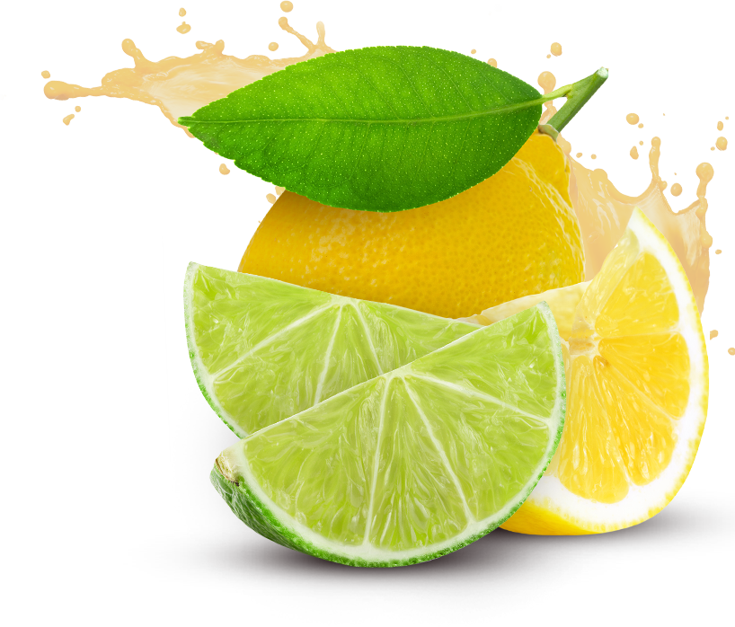Lemon Fruits Png Transparent Images Clipart Icons Pngriver - Lemon And Lime Png (818x698), Png Download