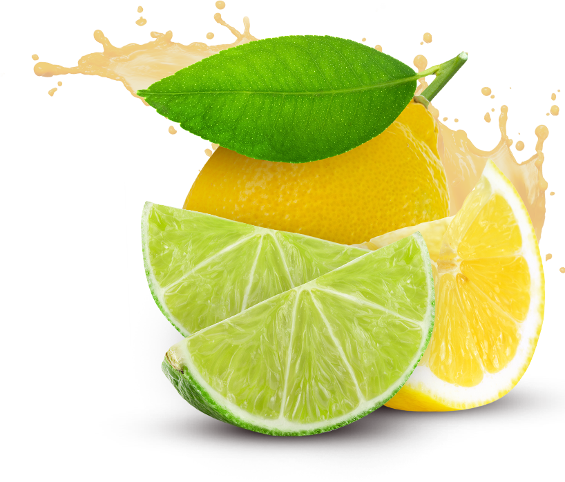 Lemon Fruits Png Transparent Images Clipart Icons Pngriver - Lemon And Lime  Png - Large Size Png Image - PikPng