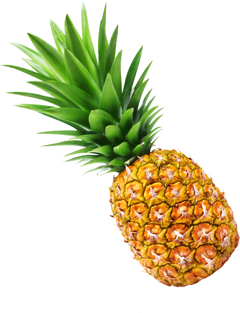 Alternate Text - Pineapple Clipart (487x634), Png Download