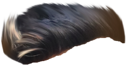 Hair Png ➤ Download - Wig Clipart (673x768), Png Download