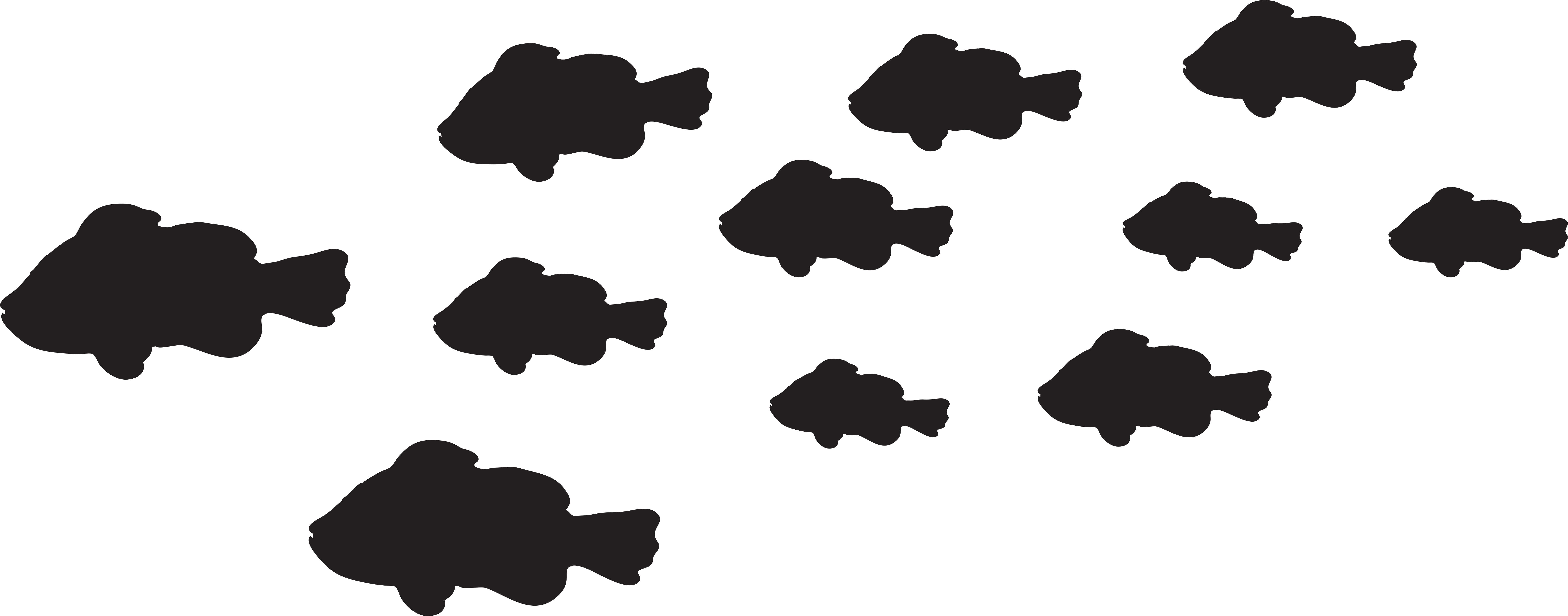 Fishes Png - Fish Silhouette Clipart Png Transparent Png (8000x3218), Png Download