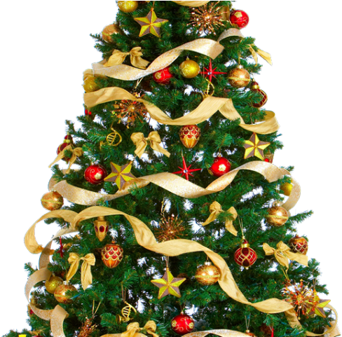 Christmas Tree Png Transparent Images - Christmas Tree Free Download Clipart (640x480), Png Download