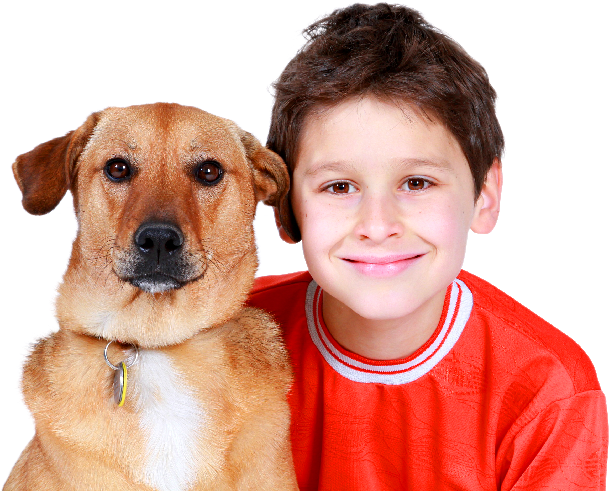 The boy s dog. Мальчик с собакой. Люди с домашними животными. Собака для детей. Подросток с собакой.