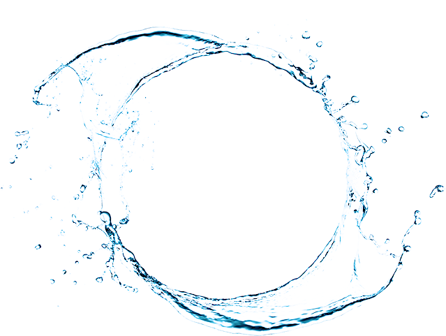 Body Color - Circle Clipart (730x610), Png Download