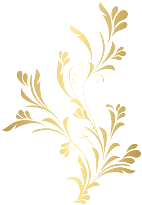 Free Png Download Floral Gold Element Png Clipart Png - Floral Design Transparent Png (480x696), Png Download