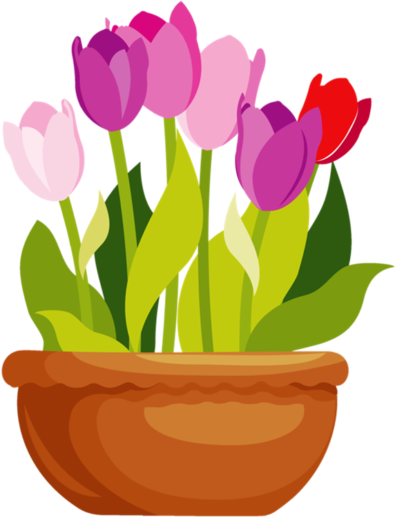 Flower Pot Clipart - Pot Of Flowers Clipart - Png Download (675x798), Png Download