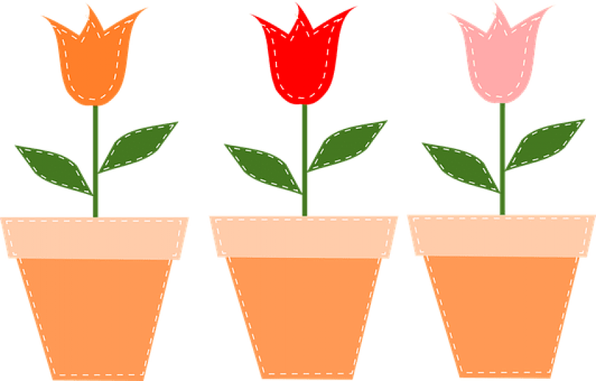 Free Png Download Flower Pots Pots Tulips Flowers Pot - Pot With Flower Clipart Png Transparent Png (850x544), Png Download