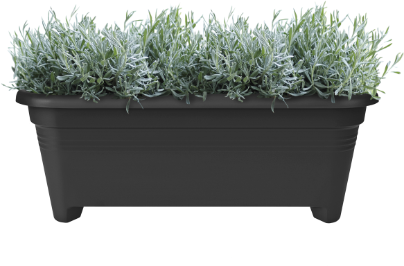 Home > Collection > Green Basics Long - Flowerpot Clipart (750x750), Png Download