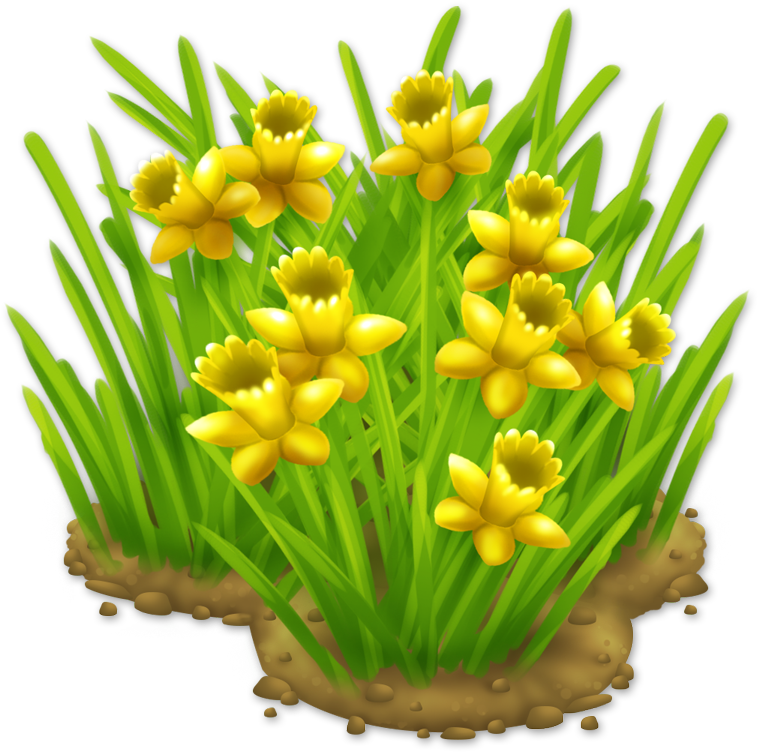 Daffodils Png - Daffodils - Tulip Clipart (765x765), Png Download
