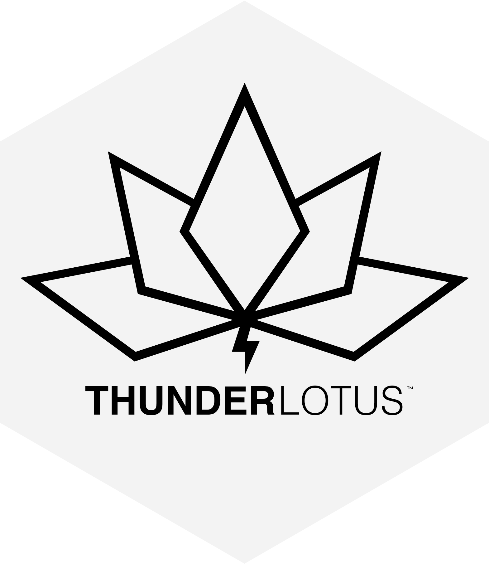 Logo - Icon - Thunder Lotus Games Logo Clipart (1569x1808), Png Download