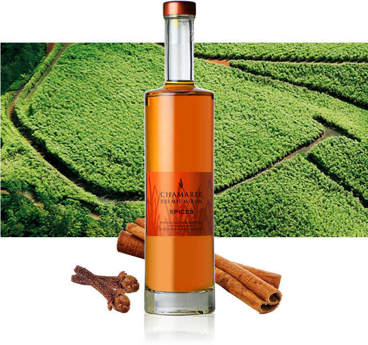 Spice Bottle Bg - Glass Bottle Clipart (750x733), Png Download