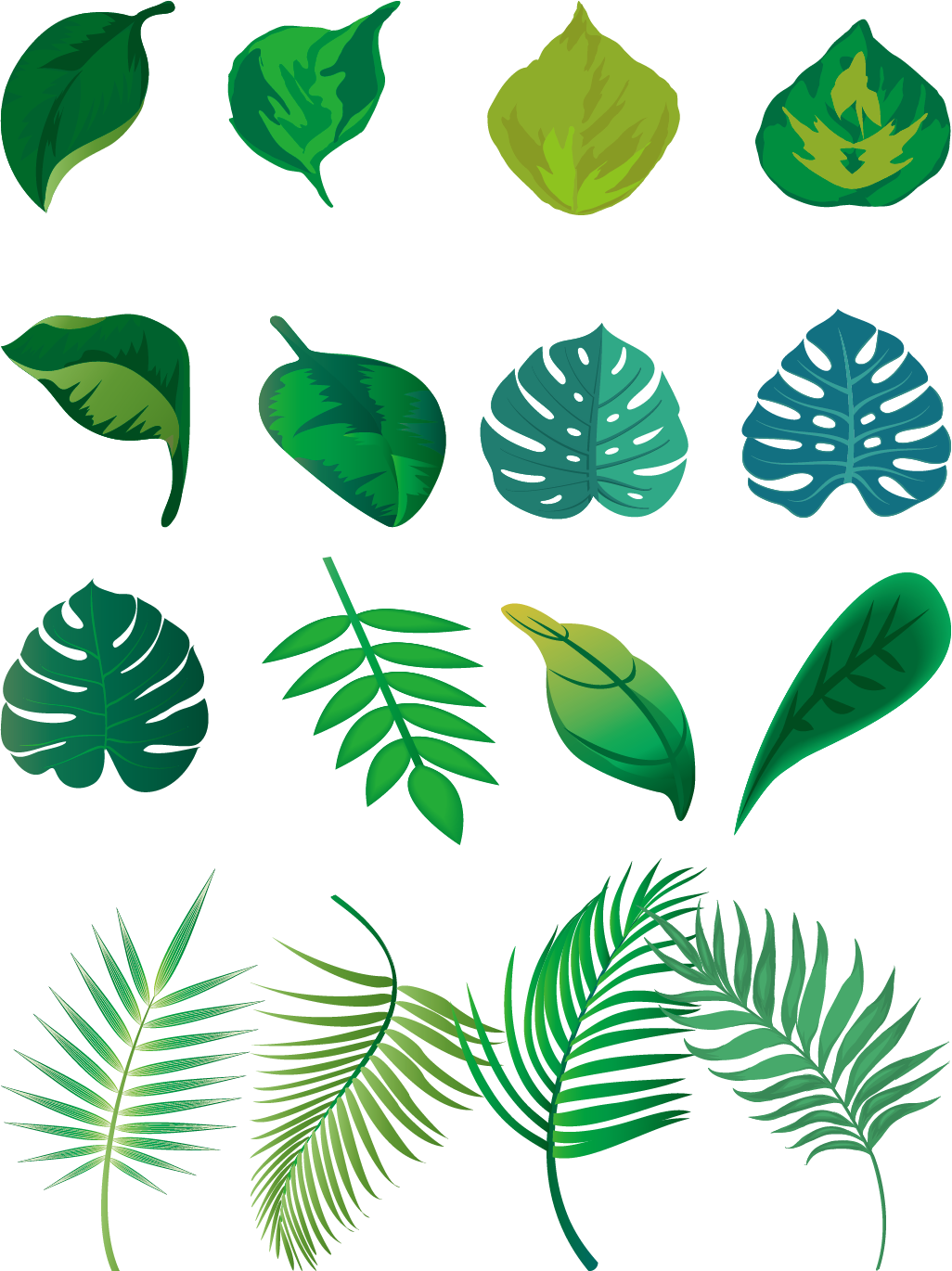 Hand Painted Fresh Green Leaves Png And Vector Image Clipart (1026x1370), Png Download