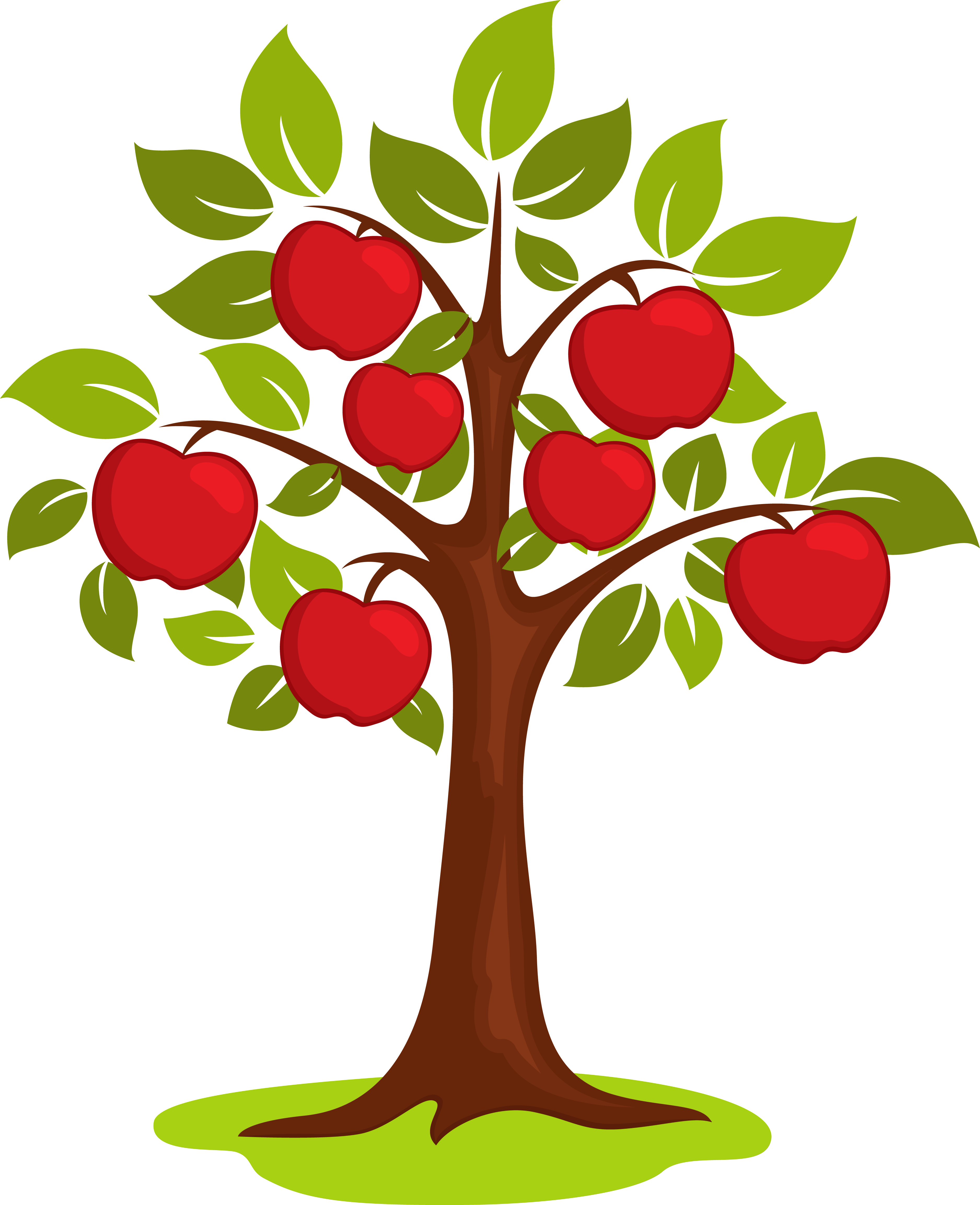 Cartoon Clip Art - Clipart Apple Tree - Png Download (3751x4614), Png Download