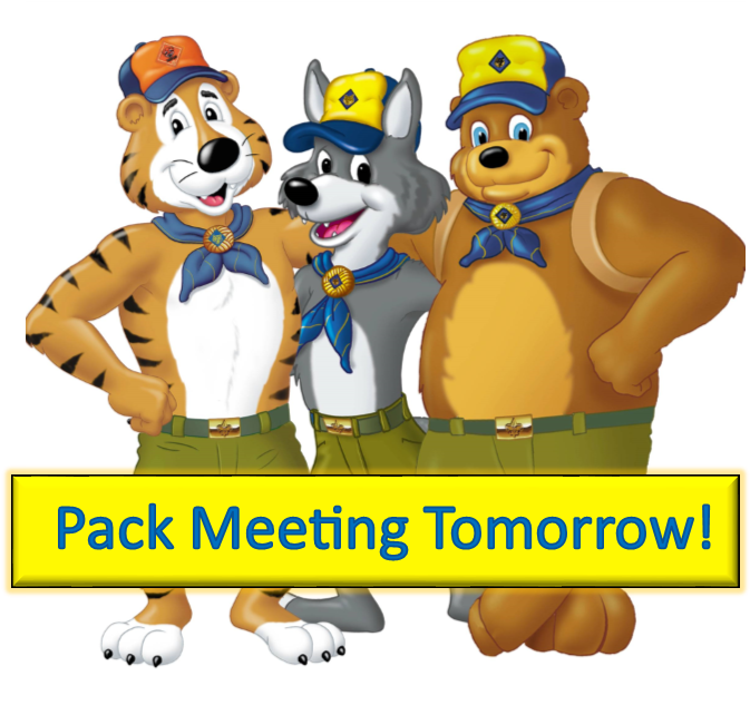 Litter Clipart Cubs - Cub Scout Pack Meeting - Png Download (753x674), Png Download