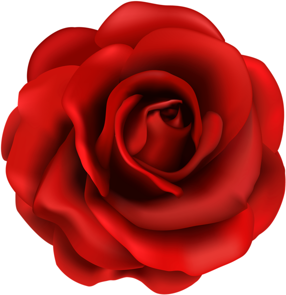 Creative Idea Red Rose Clipart Flower Png Image Line - Rose Flowers Images Clip Art Transparent Png (583x600), Png Download