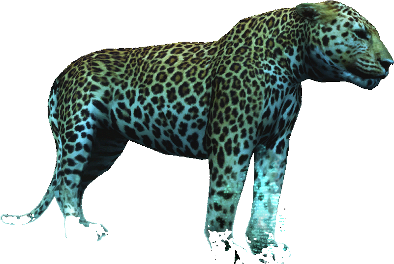 1024 X 756 3 - Jaguar Clipart (1024x756), Png Download