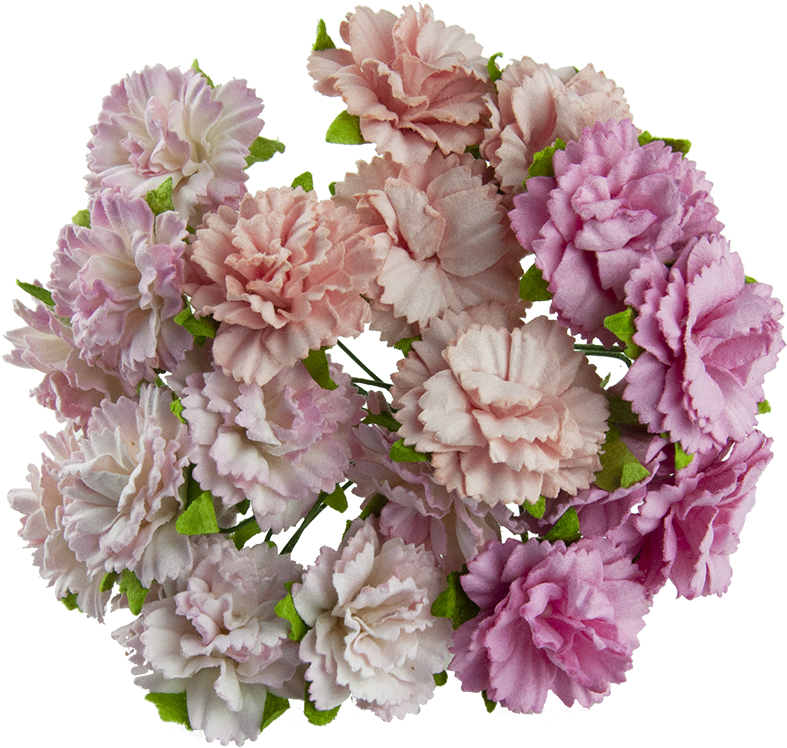 20 Mixed Pink Mulberry Paper Carnation Flowers - Goździki Clipart (800x800), Png Download