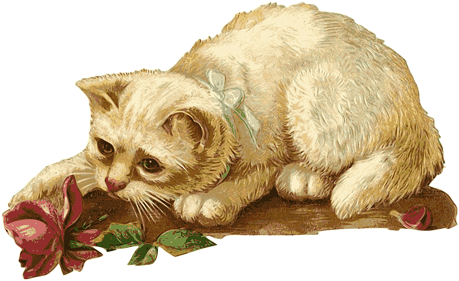 Cat, Kitten, Rosa, Flower, Animal, Pet, Vintage - Cat Vintage Png Clipart (960x600), Png Download