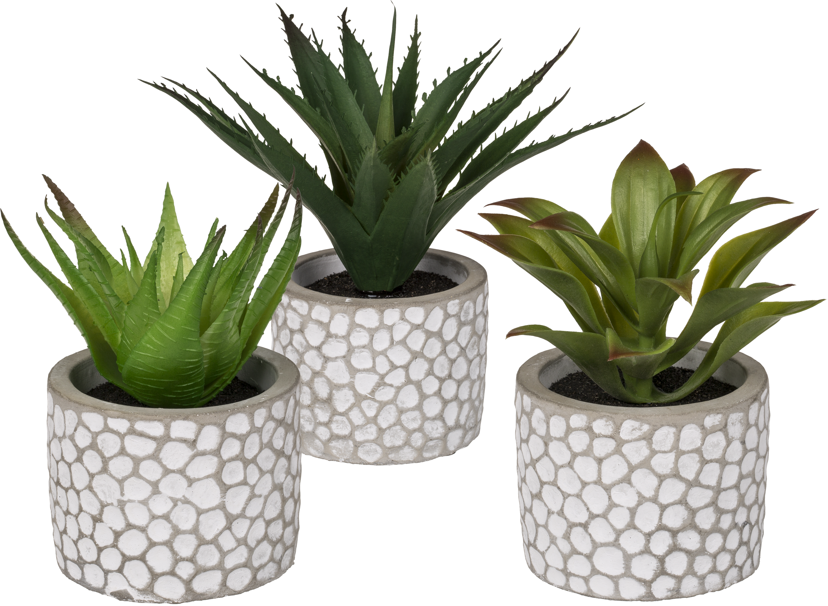 Flowerpot Clipart (2835x2126), Png Download