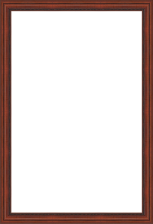 Brigham Young Double Diploma W/mdl - Picture Frame Clipart (535x785), Png Download