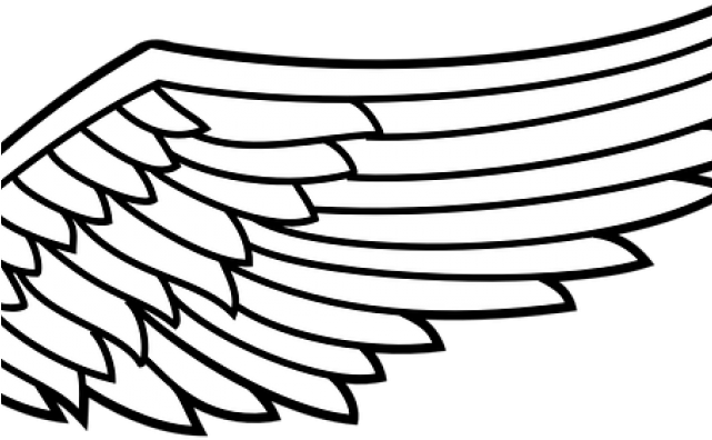Right Clipart Angel Wing - Clip Art - Png Download (640x480), Png Download