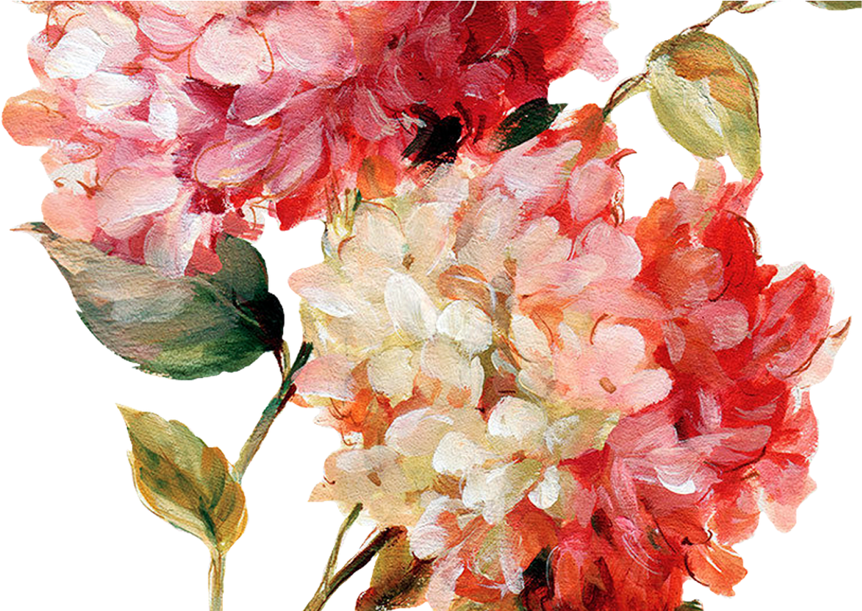 Hydrangea Clipart Hand Drawn, Hydrangea Hand Drawn - Painting Flowers - Png Download (1368x855), Png Download