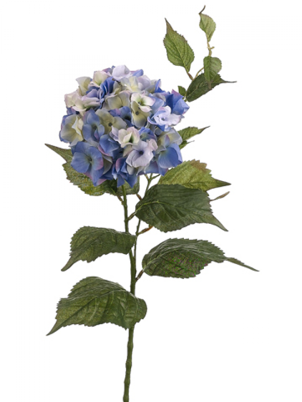 34" Hydrangea Spray X2 Blue - Bouquet Clipart (800x800), Png Download