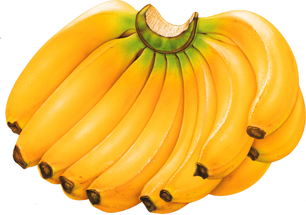 Among - Banana Fruits Clipart (1024x719), Png Download