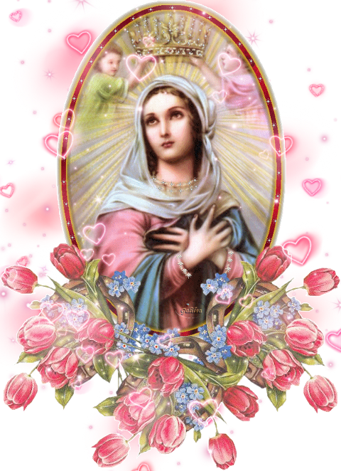 Beata Vergine Maria Regina 22 Agosto Clipart (480x662), Png Download