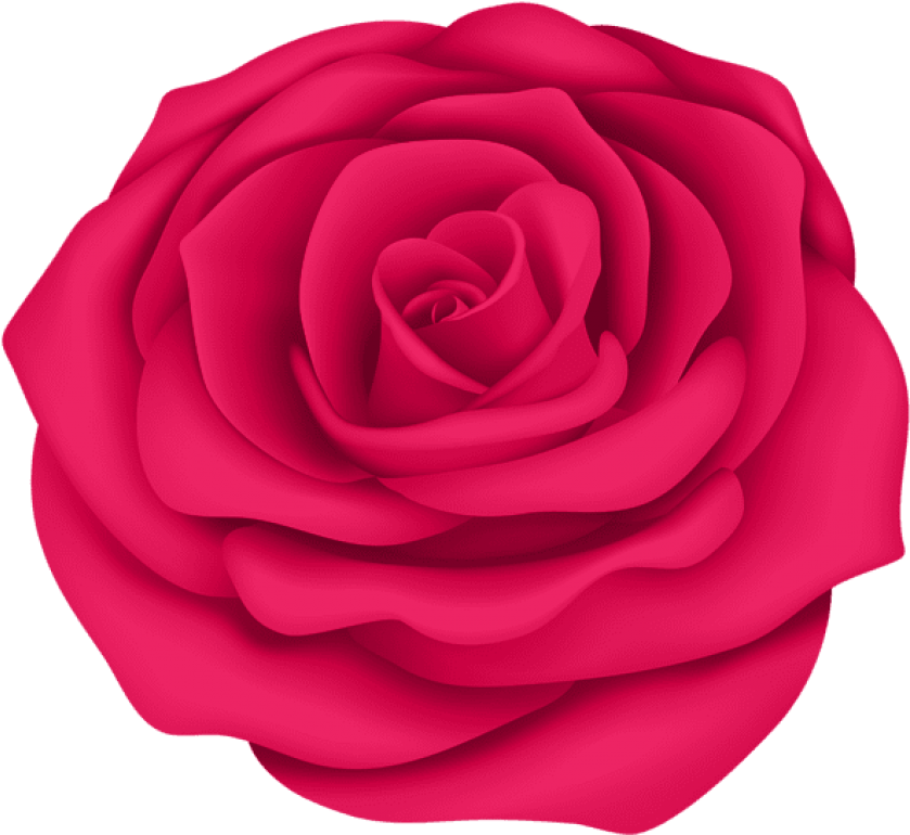 Free Png Pink Rose Flower Transpa Png Images Background - Rosa Azul Desenho Png Clipart (850x780), Png Download