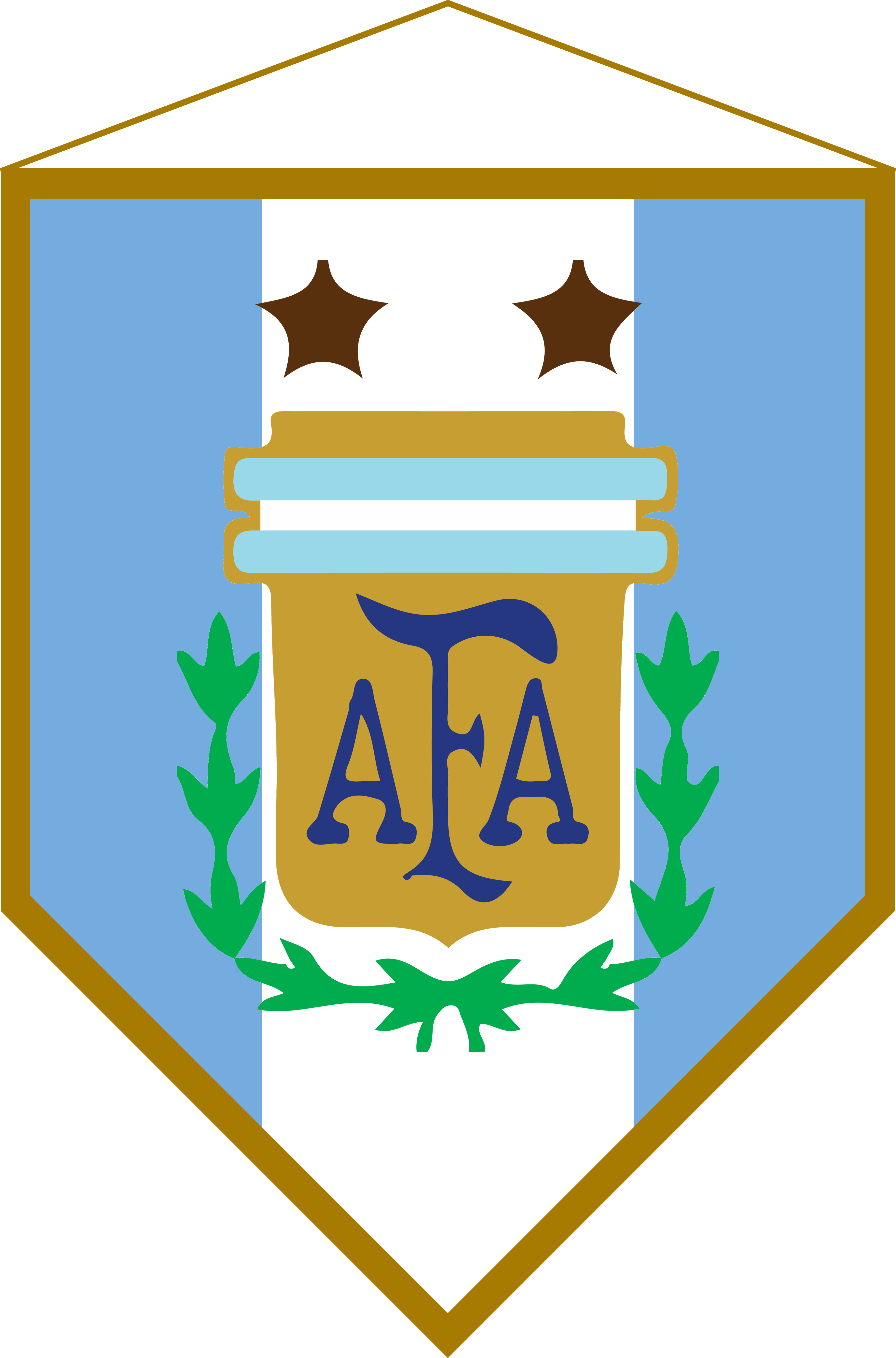 Logo Banderín Argentina - Argentina National Football Team Clipart (3647x5527), Png Download