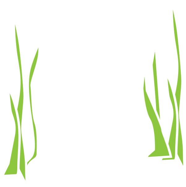 Reed Clipart Underwater - Grass Png Underwater Transparent Png (601x602), Png Download
