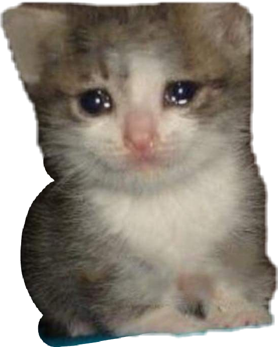 Crying Cat Meme Transparent - Crying Cat Meme Png Clipart (553x690), Png Download