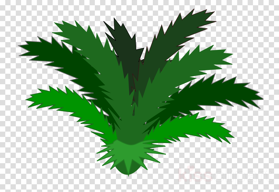 Jungle Plants Clipart Tropical Rainforest Clip Art - Iron Man Meme Png Transparent Png (900x620), Png Download