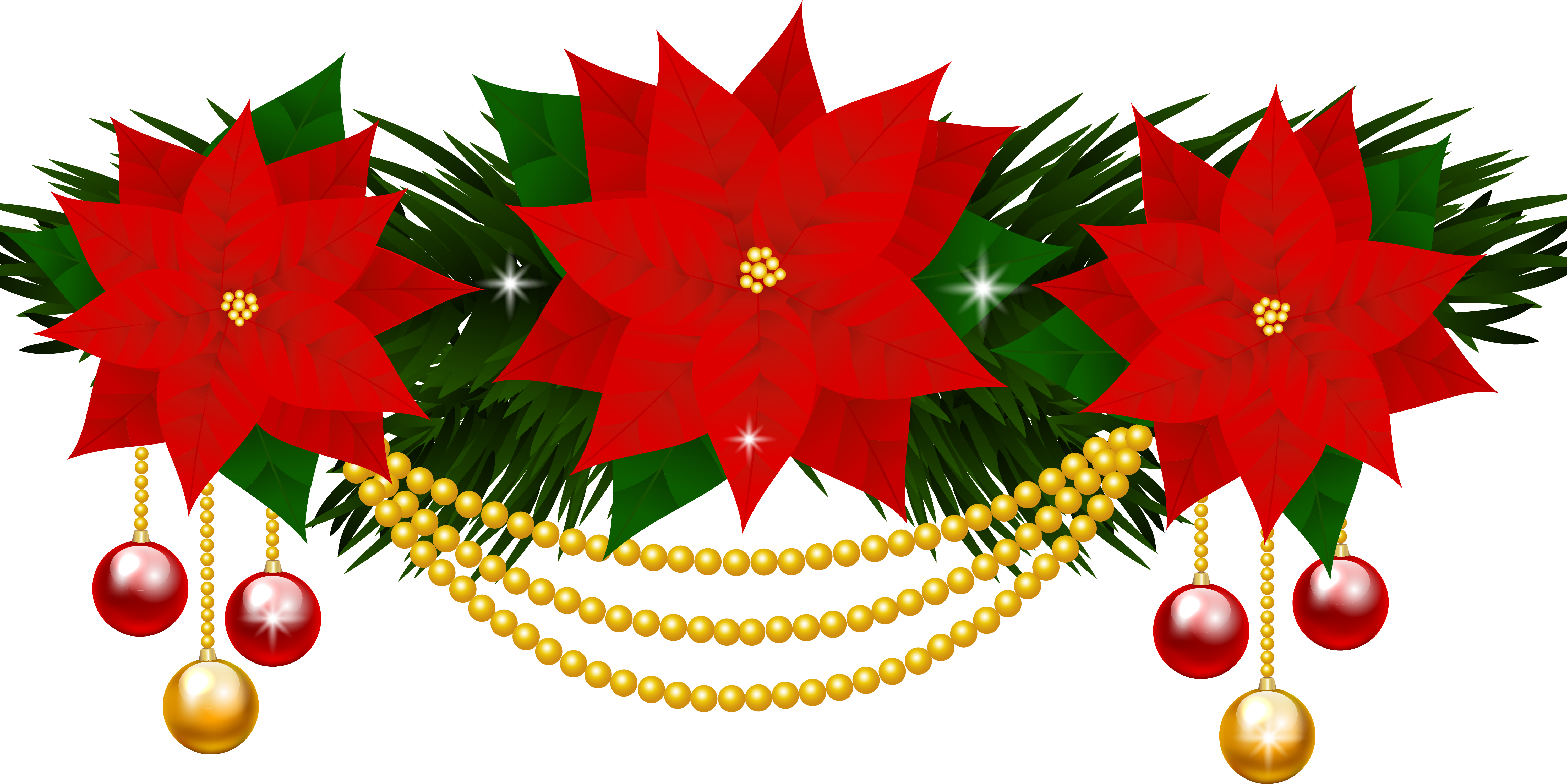 Transparent Background Poinsettia Clipart - Png Download (5980x3196), Png Download