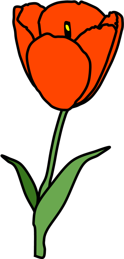 Tulip, Petals, Stamen, Red, Png - Sprenger's Tulip Clipart (816x1056), Png Download