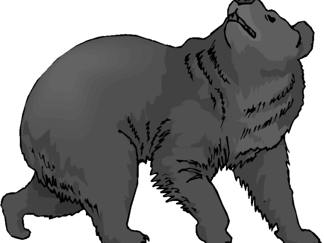 Black Bear Clipart Transparent - Transparent Bear Clip Art - Png Download (640x480), Png Download