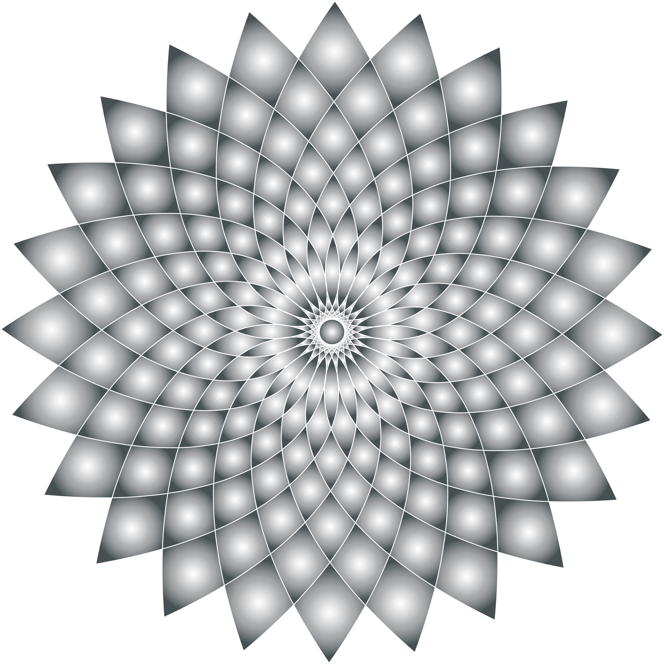 Prismatic Abstract Flower Line Art Ii - Drawing Of Something Soft Clipart (2292x2292), Png Download