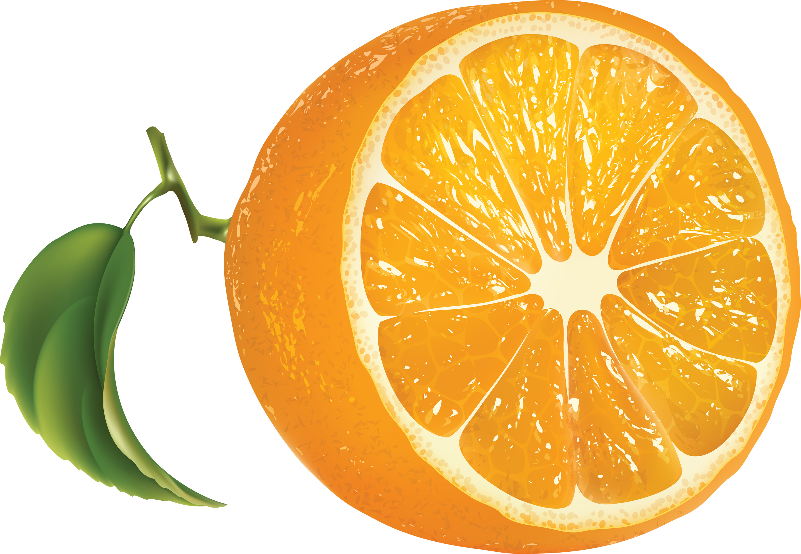 Orange - Oranges - Orange Vector Transparent Background Clipart (2811x1944), Png Download